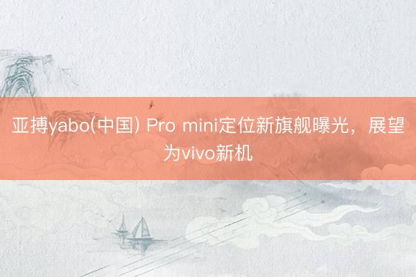 亚搏yabo(中国) Pro mini定位新旗舰曝光,展望为vivo新机