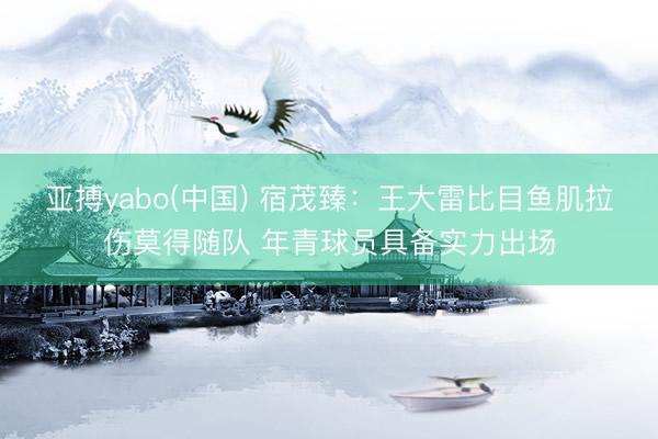 亚搏yabo(中国) 宿茂臻:王大雷比目鱼肌拉伤莫得随队 年青球员具备实力出场