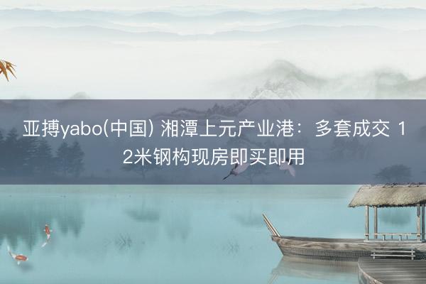 亚搏yabo(中国) 湘潭上元产业港:多套成交 12米钢构现房即买即用