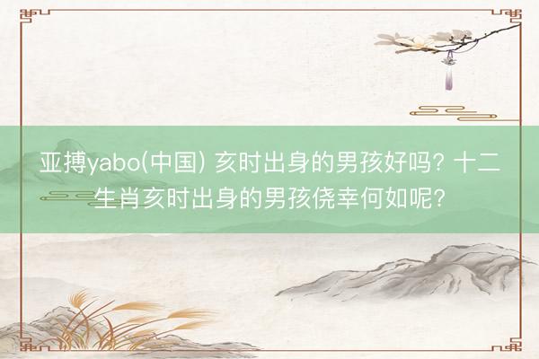 亚搏yabo(中国) 亥时出身的男孩好吗? 十二生肖亥时出身的男孩侥幸何如呢?
