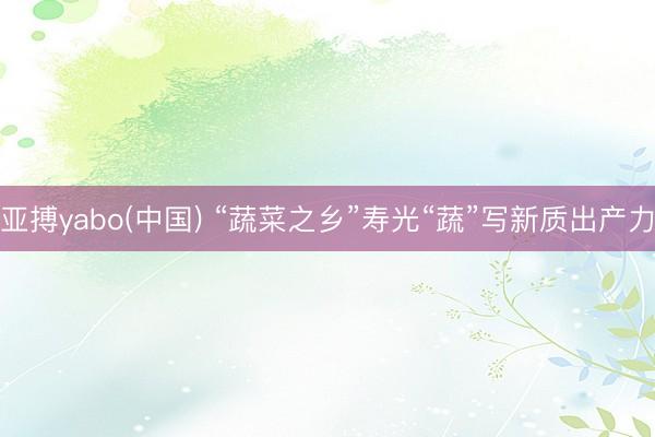 亚搏yabo(中国) “蔬菜之乡”寿光“蔬”写新质出产力