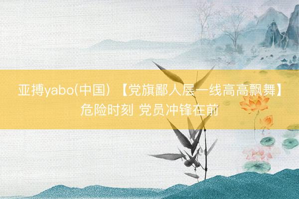 亚搏yabo(中国) 【党旗鄙人层一线高高飘舞】危险时刻 党员冲锋在前