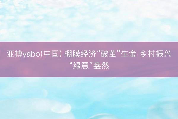 亚搏yabo(中国) 棚膜经济“破茧”生金 乡村振兴“绿意”盎然