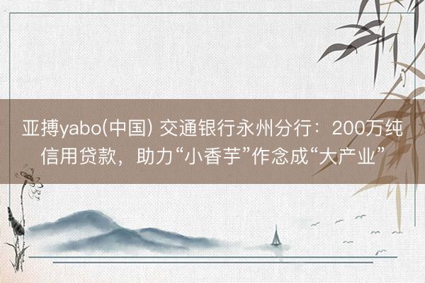 亚搏yabo(中国) 交通银行永州分行：200万纯信用贷款，助力“小香芋”作念成“大产业”