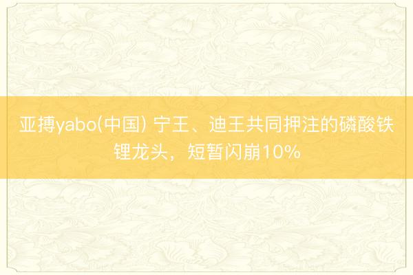 亚搏yabo(中国) 宁王、迪王共同押注的磷酸铁锂龙头，短暂闪崩10%