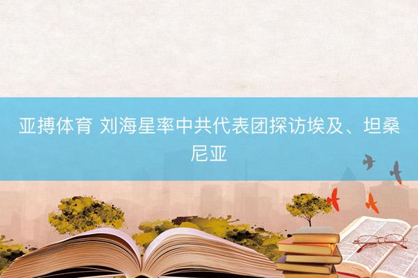 亚搏体育 刘海星率中共代表团探访埃及、坦桑尼亚