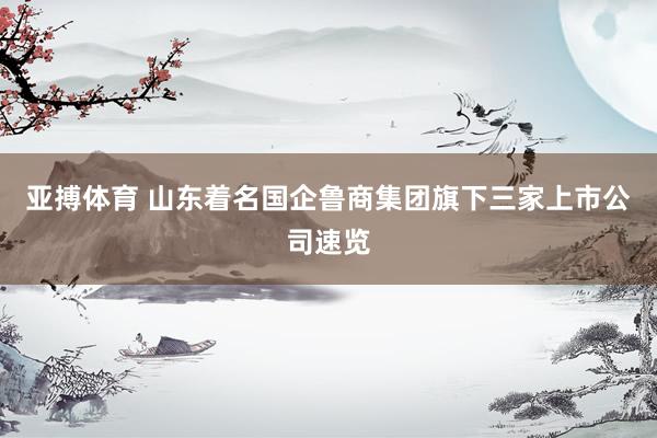 亚搏体育 山东着名国企鲁商集团旗下三家上市公司速览