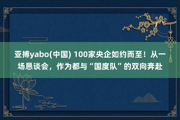亚搏yabo(中国) 100家央企如约而至！从一场恳谈会，作为都与“国度队”的双向奔赴